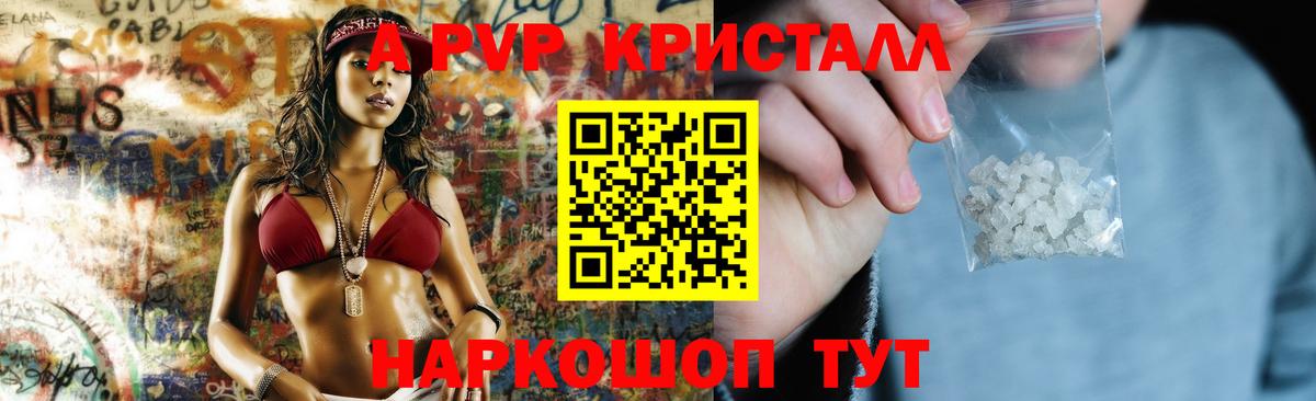 A PVP СК КРИС Астрахань