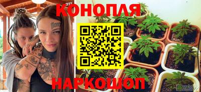 шишки Владикавказ