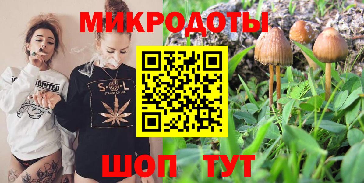 купить  сайты  Псилоцибиновые грибы мицелий  Вход с VPN  Астрахань 